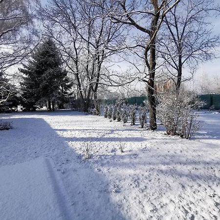 Szent Erzsebet Apartmanhaz Кескемет Екстериор снимка